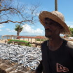 Dried fish