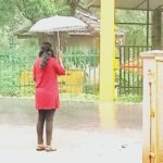 Find a shelter