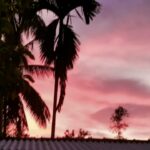 A beautiful sunset