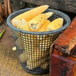 Environment and related businesses