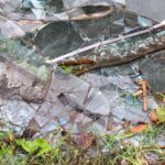 Blocked Drain Chaos