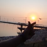 Life’s Vital Flow