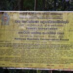 වර්ෂාවත් තර්ජනයක් වූ කෘෂිකර්මාන්තය – මුලික හේතුව තෙත්බිම් ගොඩවිම