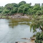 Importance of Wetlands in Climate Change