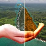 Waste Management: A Key Solution for Climate Change