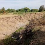 Rediscovery of Cinchona Tree in Sri Lanka: A Forgotten Legacy Reconnected with Climate Change